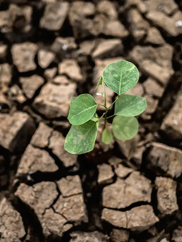 Cambio climático y salud mundial, un devastador informe de la ONU - Indómito