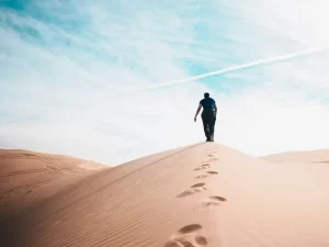 2024 sin precedentes: el año más caluroso en la historia