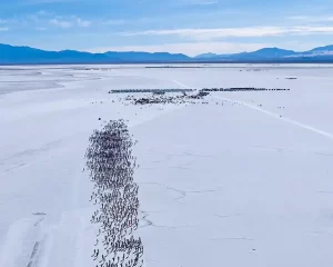 En Jujuy finalizó el Raid Columbia de los Andes 2025