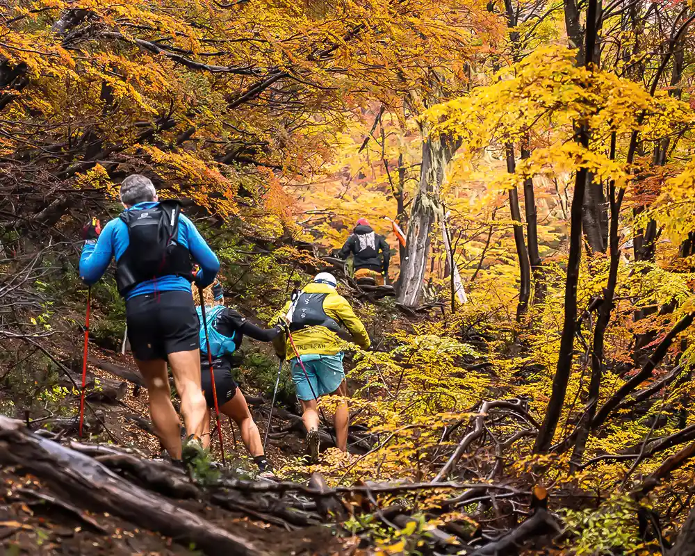 Patagonia Run 2025 - Indómito