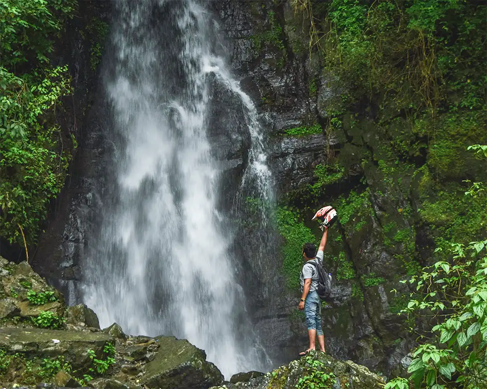 Greenwashing y greenhushing: dos prácticas de marketing opuestas que perjudican la acción climática - Indóminto