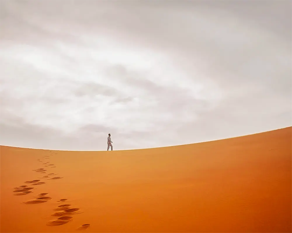 El cambio climático está cambiando el polvo del desierto del Sáhara poco a poco - Indómito