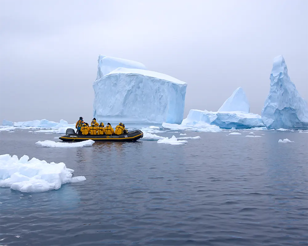 Un abanico oculto bajo el hielo - Indómito