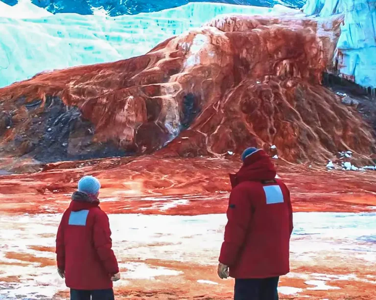 Según un estudio las “cascadas de sangre” de la Antártida descienden de antiguas criaturas marinas